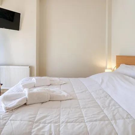 شقة Thano's House 1 فولوس